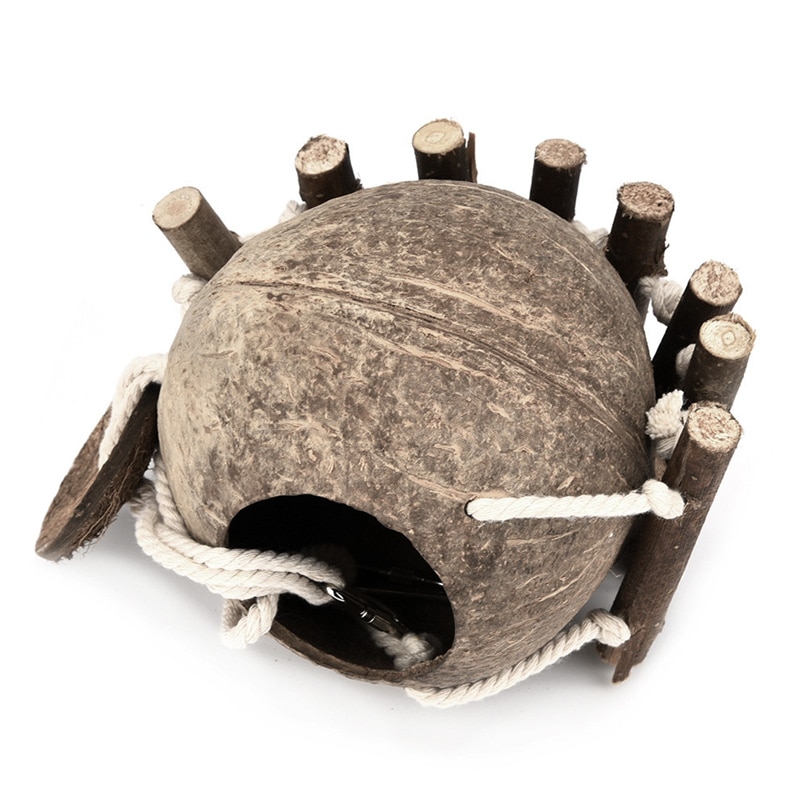 Bird's Coconut Shell House with Ladder