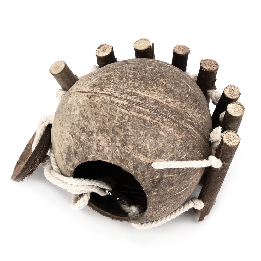 Bird's Coconut Shell House with Ladder