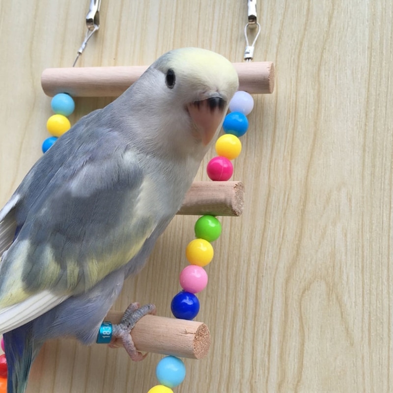 Bird's Wooden Rainbow Ladder