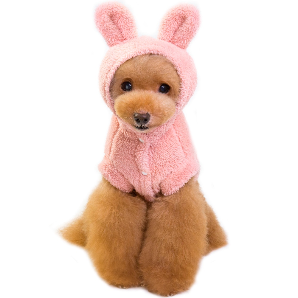 Cat's Cute Ears Hood Plush Jacket