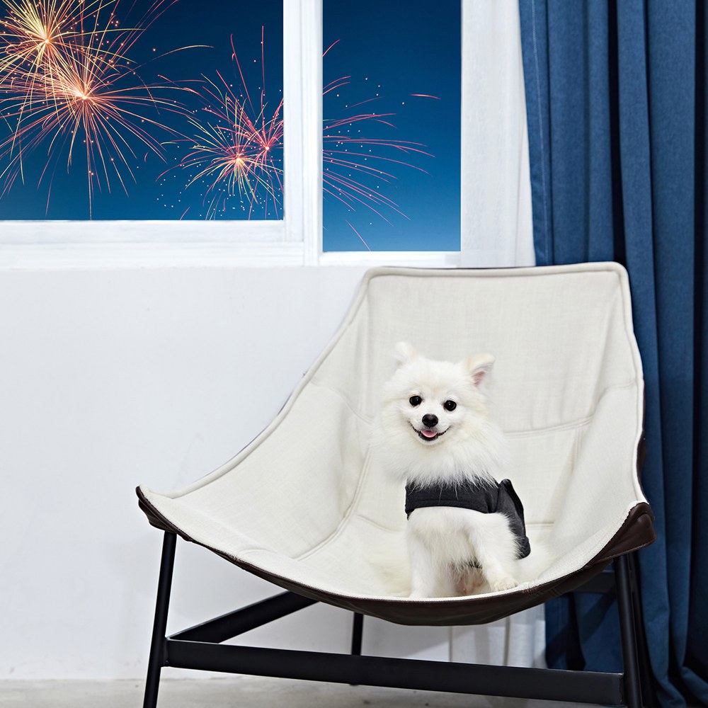 Dog's Reflective Vest Dog's Reflective Vest