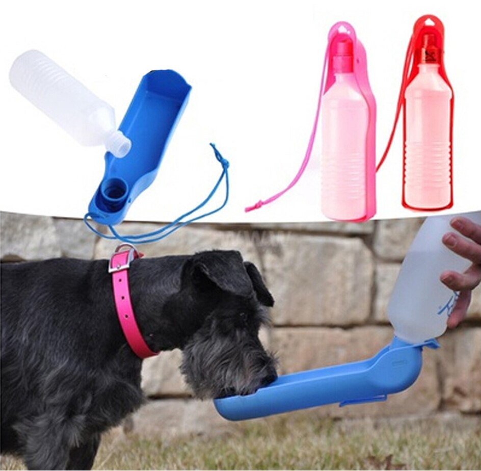 Solid Color Dog Water Bottle