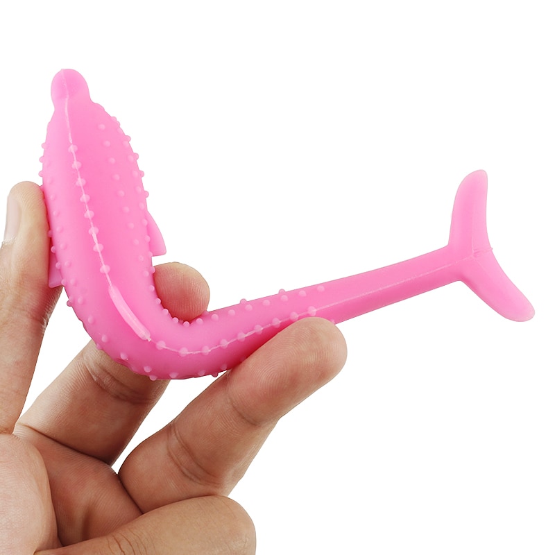 Soft Silicone Catnip Fish Toy