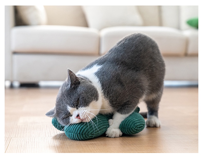 Cactus Catnip Cat Plush Toy