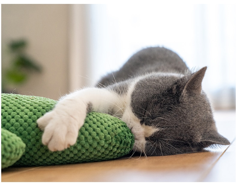 Cactus Catnip Cat Plush Toy