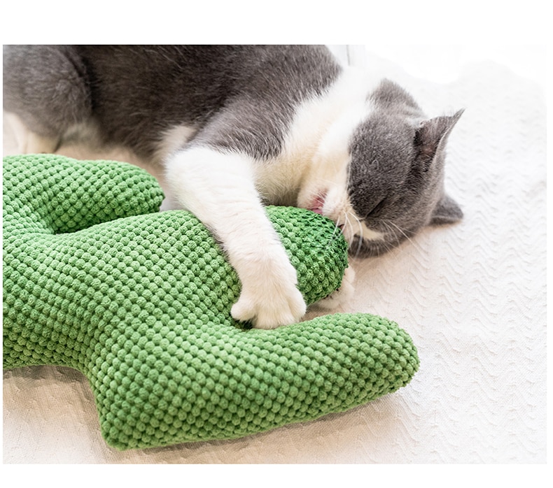 Cactus Catnip Cat Plush Toy