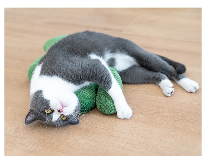 Cactus Catnip Cat Plush Toy