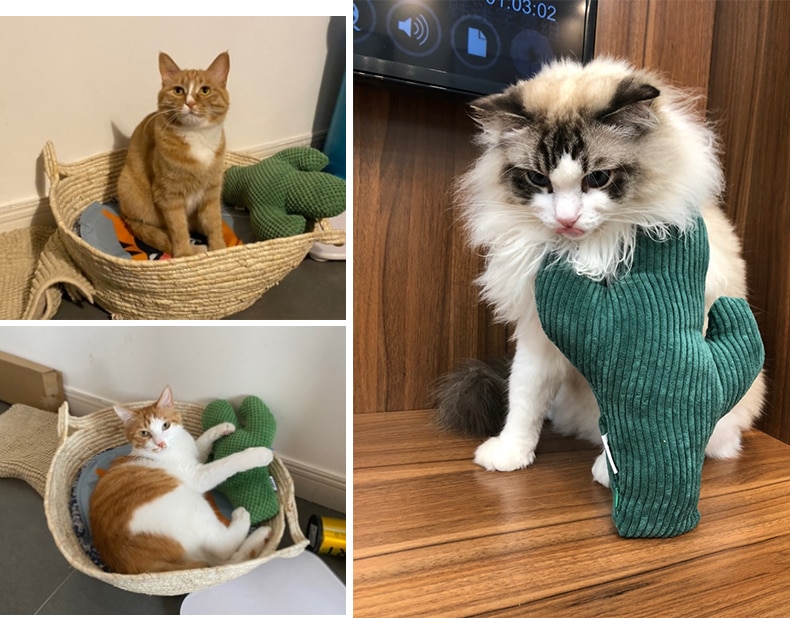 Cactus Catnip Cat Plush Toy