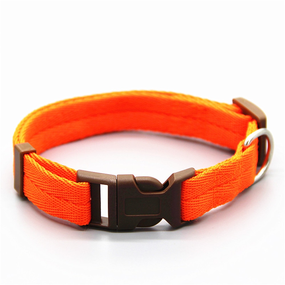 Nylon Training Rope for Dogs