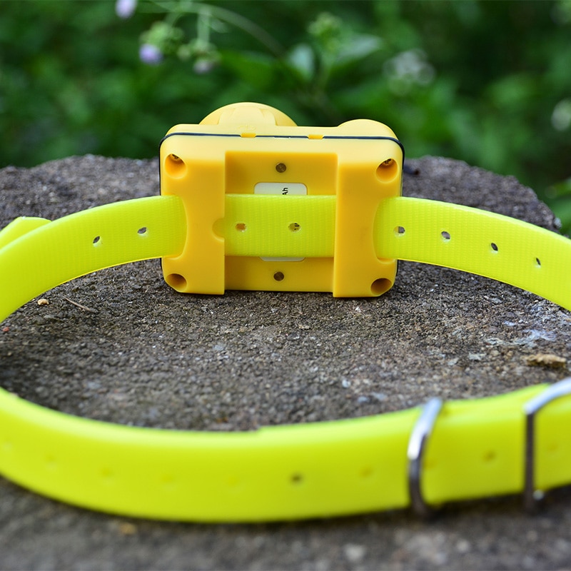 Rechargeable Dog Training Beeper