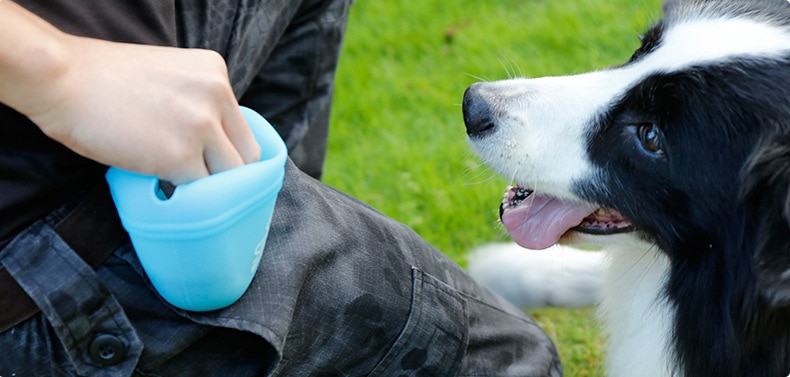 Dog's Plastic Waterproof Treat Pouch