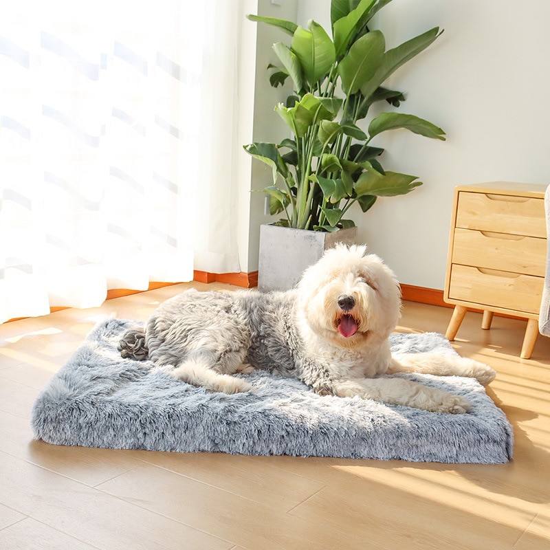 Ultra Plush Orthopedic Dogs Mat Ultra Plush Orthopedic Dogs Mat