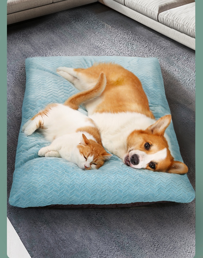 Dogs Soft Pillow Mat Dogs Soft Pillow Mat