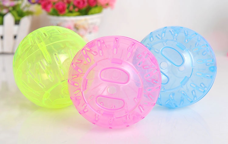 Ball Toy for Small Pets