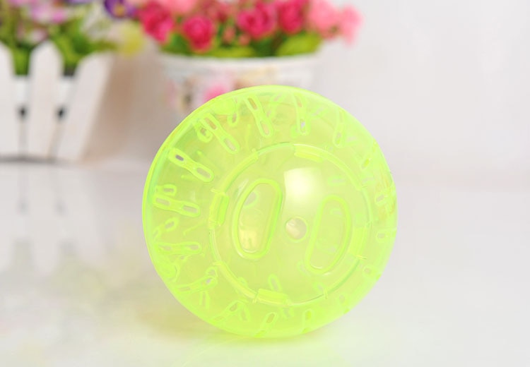 Ball Toy for Small Pets