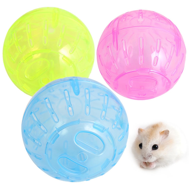 Ball Toy for Small Pets