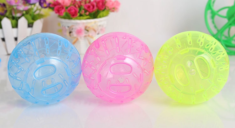 Ball Toy for Small Pets