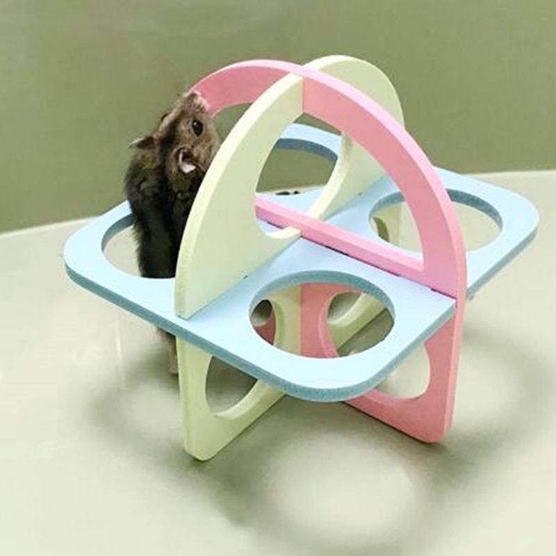 Hamster's Labyrinth Toy
