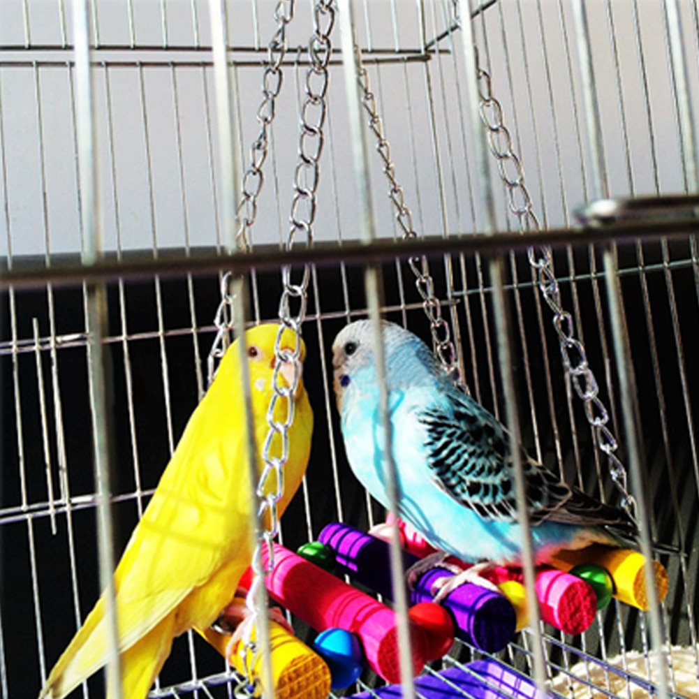 Bird's Rainbow Swing Toy
