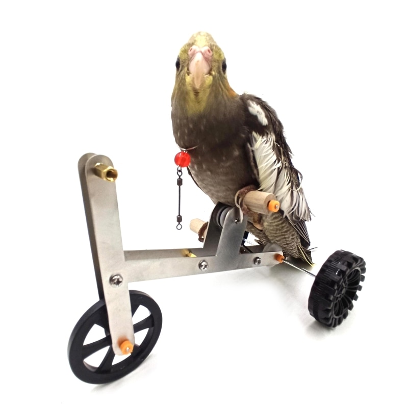 Bird's Bike Toy