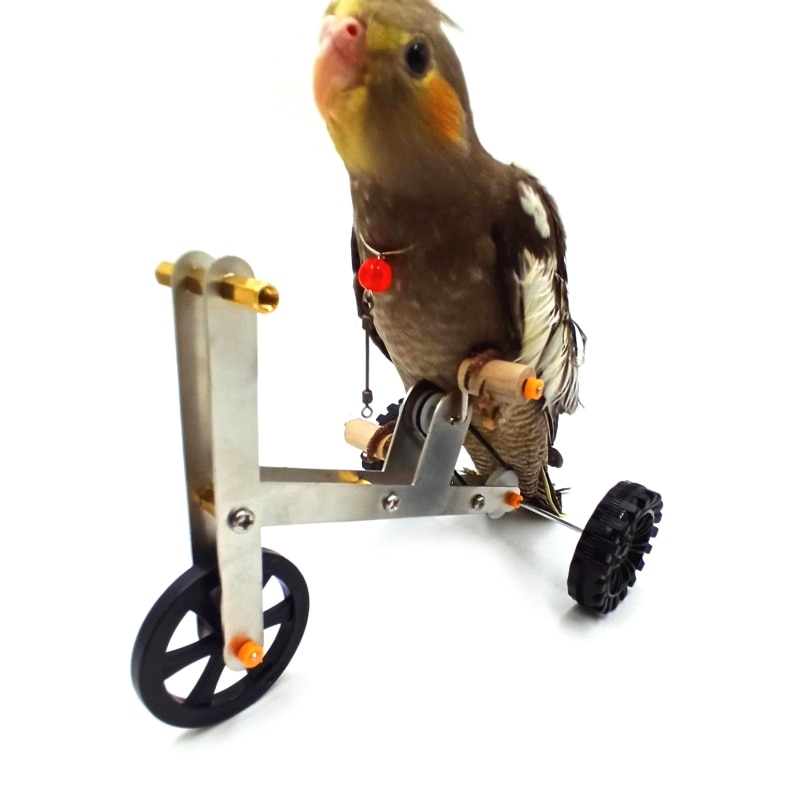 Bird's Bike Toy