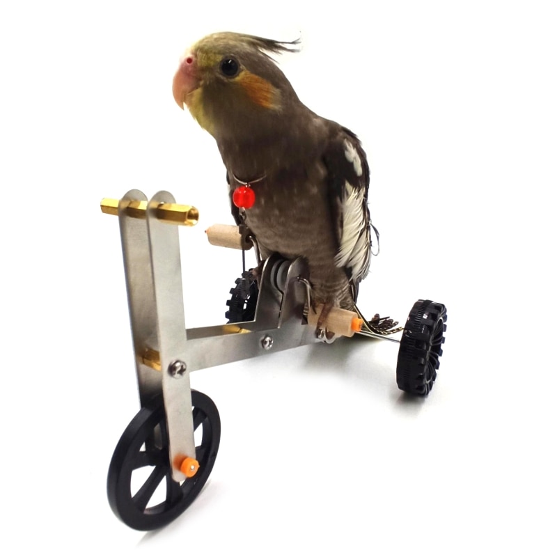 Bird's Bike Toy