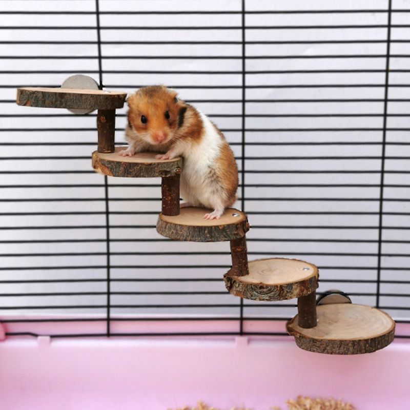 Wooden Ladder Toy for Small Pets