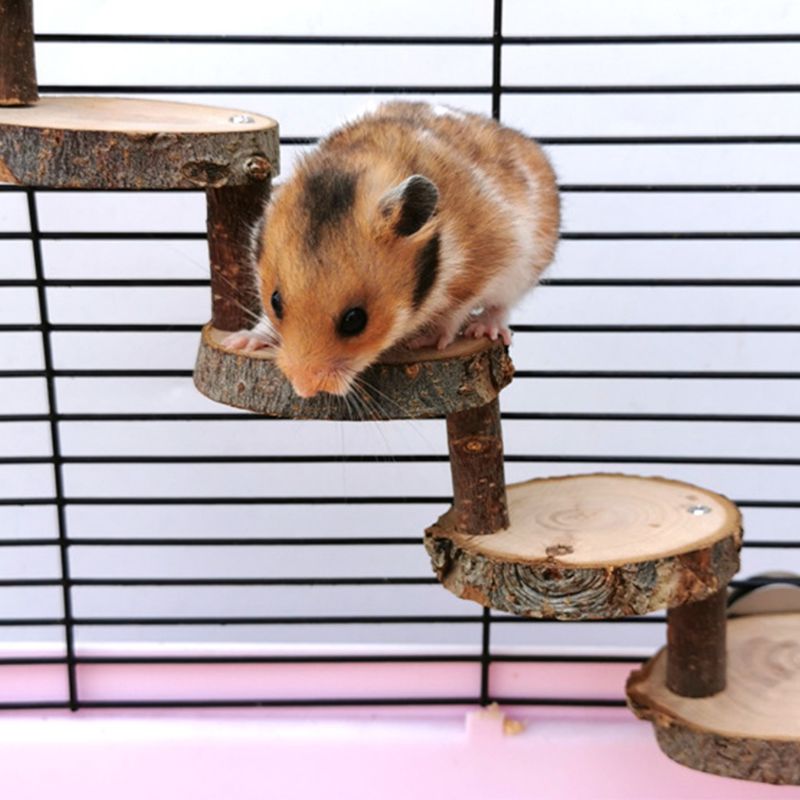 Wooden Ladder Toy for Small Pets
