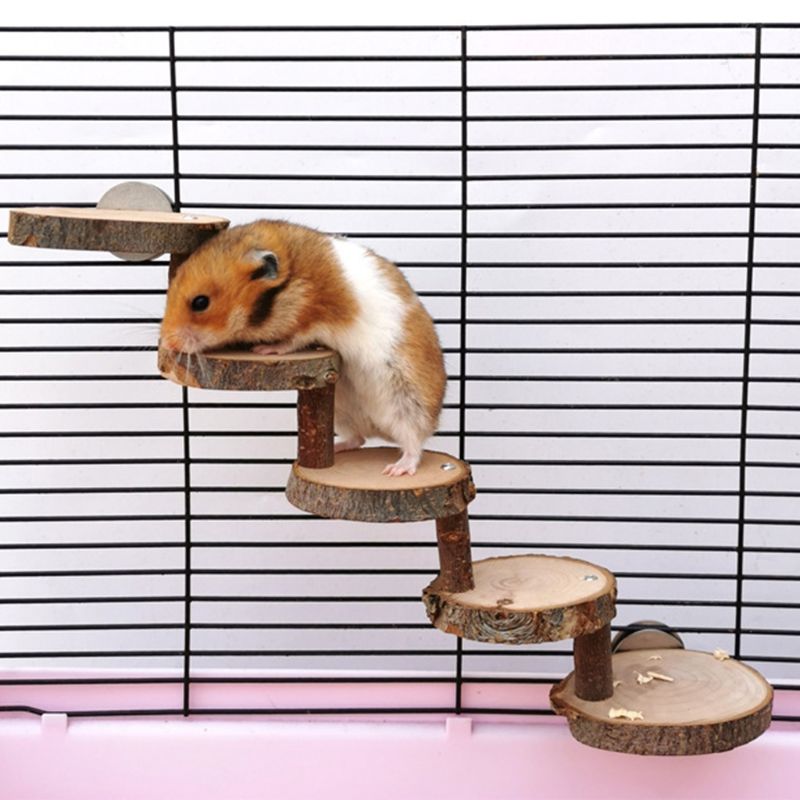 Wooden Ladder Toy for Small Pets