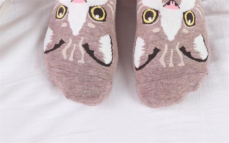 Cute Pets Socks 5 Pairs Set