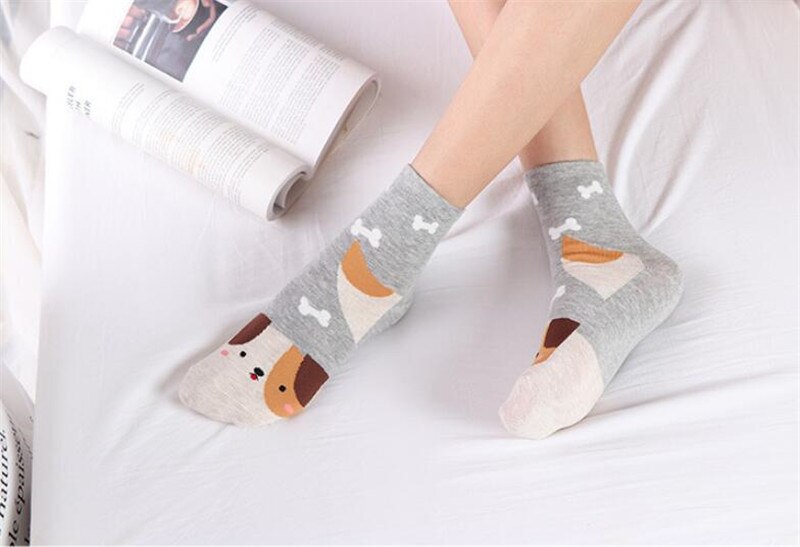 Cute Pets Socks 5 Pairs Set