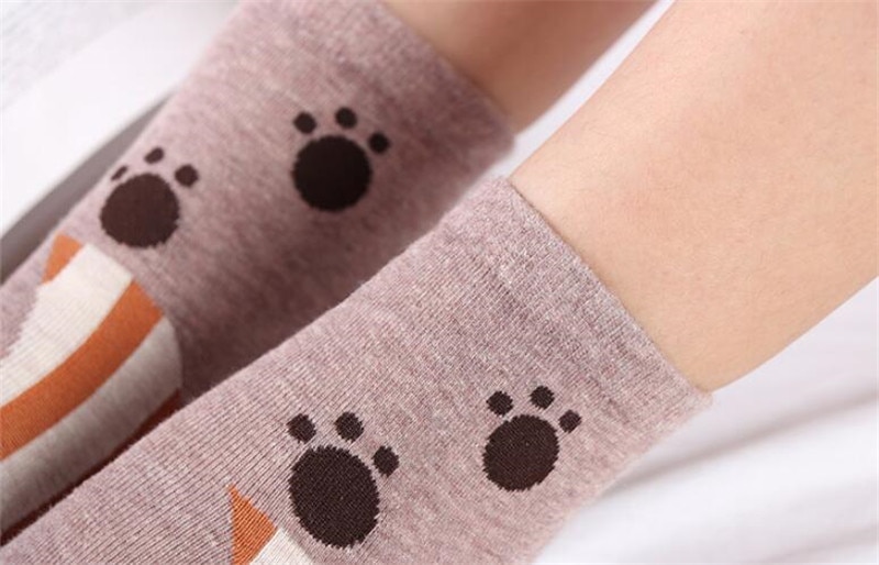 Cute Pets Socks 5 Pairs Set