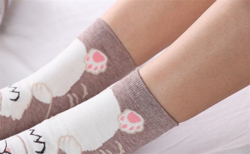Cute Pets Socks 5 Pairs Set